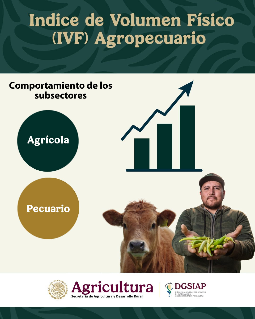 Reporte de inflación